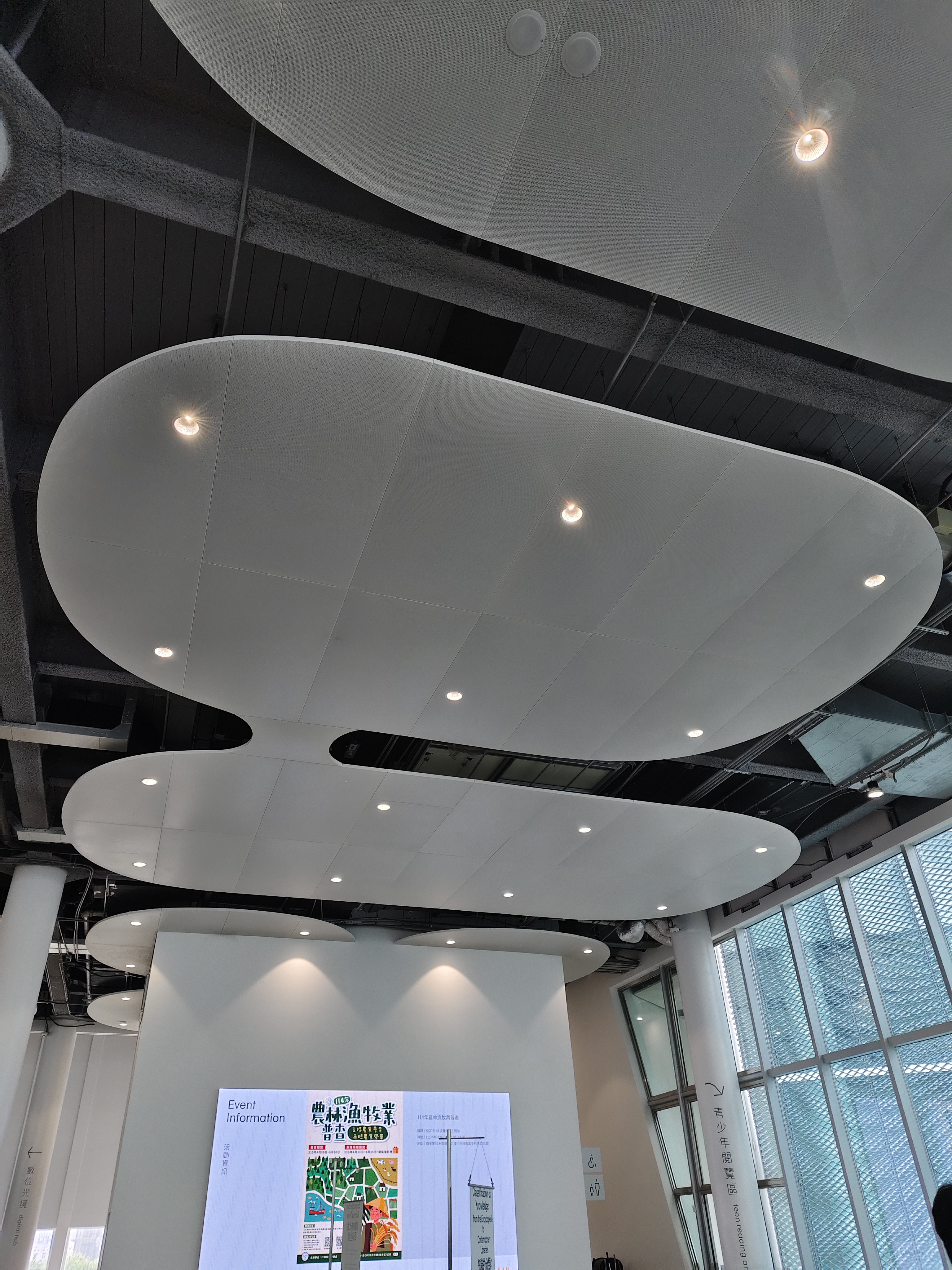圖書館雲型天花板 圖書館雲型天花板